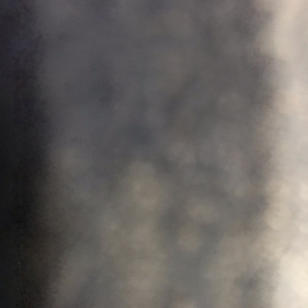 Meet your Posher, Ronald